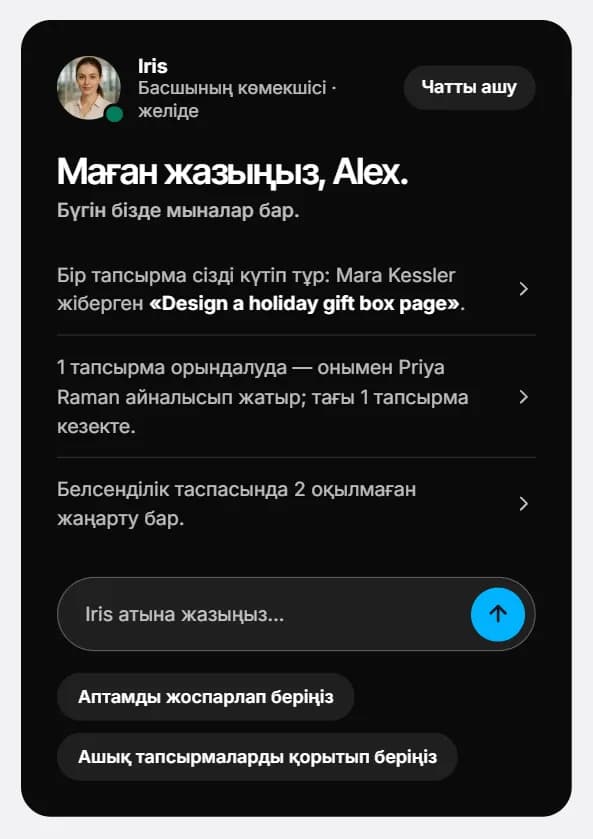 Iris плиткасы: оның қысқаша шолуы, «Iris атына жазыңыз…» өрісі және екі жылдам сұрау.