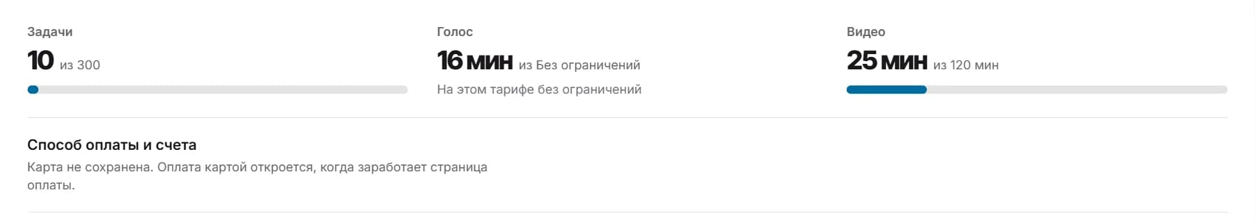 Настройки, «Оплата»: счётчики «Задачи», «Голос» и «Видео».